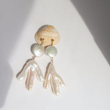 Load image into Gallery viewer, Reef Pearl Earrings
